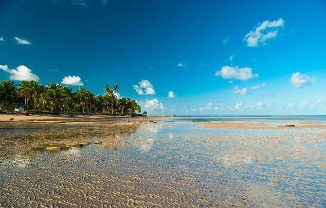 Praia de Tatuamunha, com coqueiros, areia e piscinas naturais na maré baixa